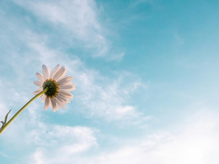 It's Not Over Yet and Other Versions of Hope