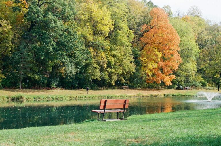 Peace of Mind and Hope for the Christian Single Mom