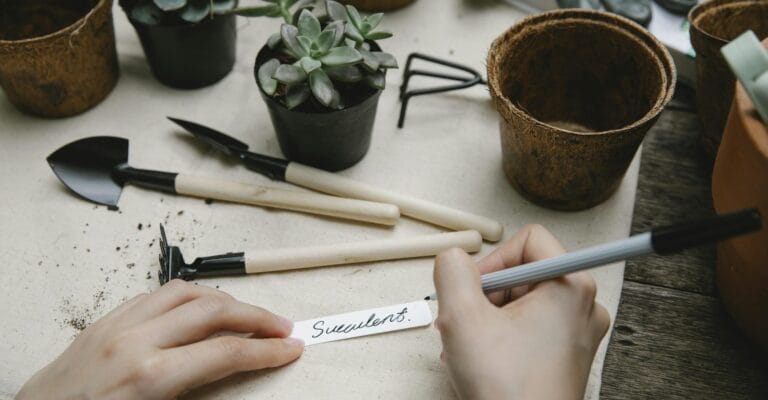 Winter is the Perfect Time to Start Garden Preparations!