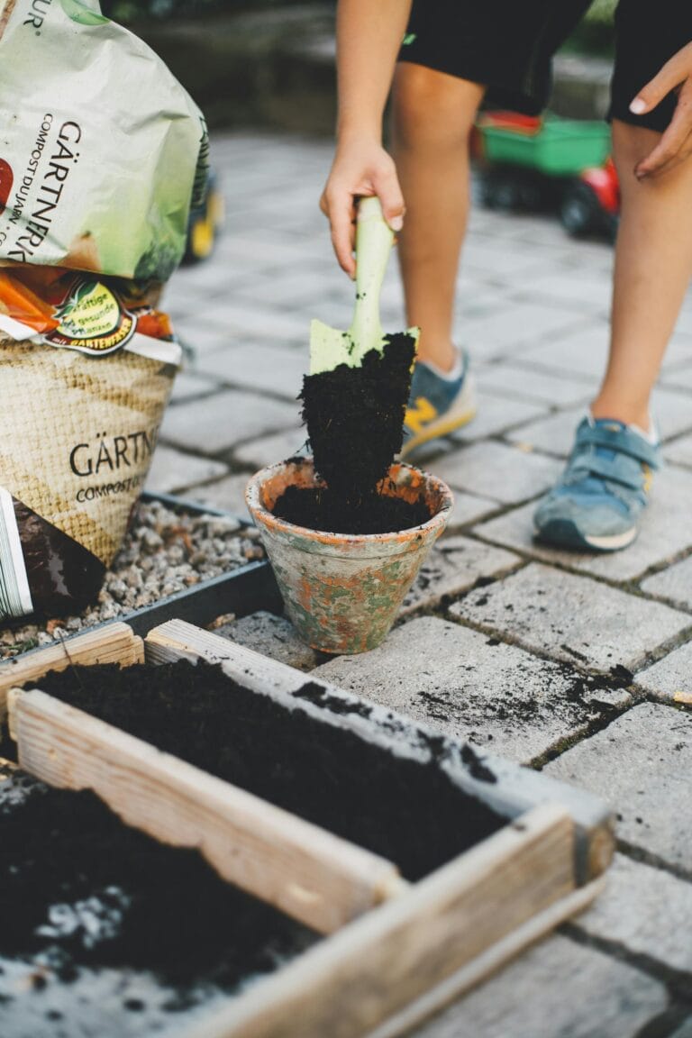 Simple Steps to Starting a Garden